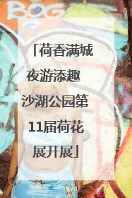 荷香满城夜游添趣 沙湖公园第11届荷花展开展