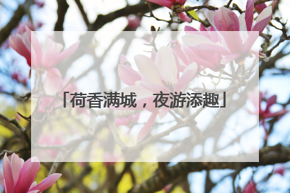 荷香满城，夜游添趣