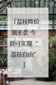 荔枝降价潮来袭 今夏可实现“荔枝自由”