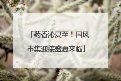 药香沁夏至！国风市集迎接盛夏来临