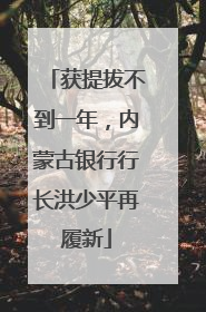 获提拔不到一年，内蒙古银行行长洪少平再履新