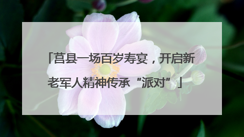莒县一场百岁寿宴，开启新老军人精神传承“派对”