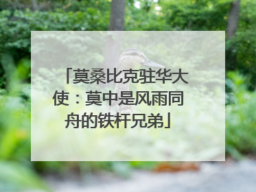莫桑比克驻华大使：莫中是风雨同舟的铁杆兄弟
