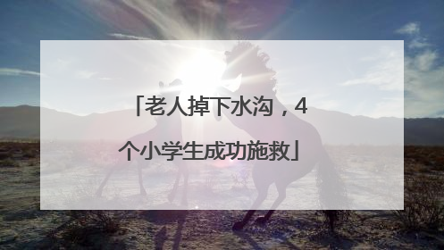 老人掉下水沟，4个小学生成功施救