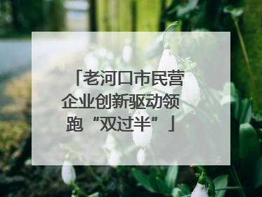 老河口市民营企业创新驱动领跑“双过半”