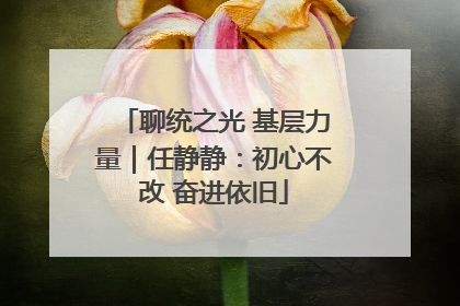 聊统之光 基层力量｜任静静：初心不改 奋进依旧