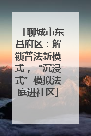 聊城市东昌府区：解锁普法新模式，“沉浸式”模拟法庭进社区