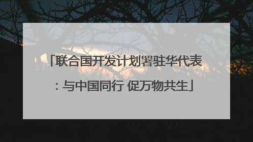 联合国开发计划署驻华代表：与中国同行 促万物共生