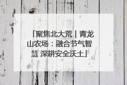 聚焦北大荒｜青龙山农场：融合节气智慧 深耕安全沃土