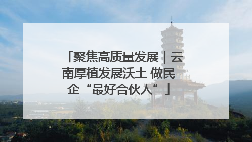 聚焦高质量发展｜云南厚植发展沃土 做民企“最好合伙人”