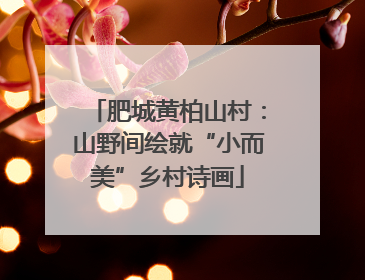 肥城黄柏山村：山野间绘就“小而美”乡村诗画