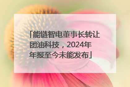 能链智电董事长转让团油科技，2024年年报至今未能发布