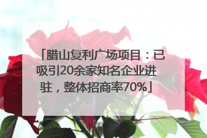 腊山复利广场项目：已吸引20余家知名企业进驻，整体招商率70%