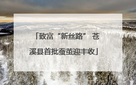 致富“新丝路” 苍溪县首批蚕茧迎丰收
