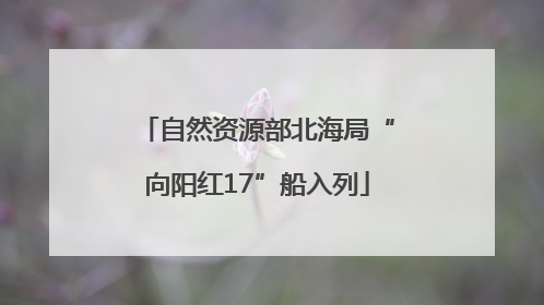 自然资源部北海局“向阳红17”船入列
