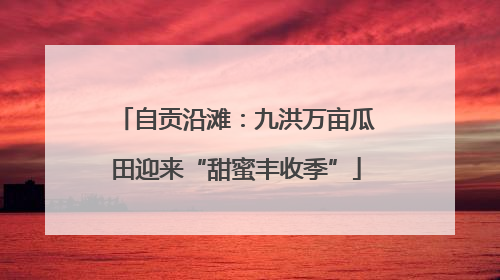自贡沿滩：九洪万亩瓜田迎来“甜蜜丰收季”