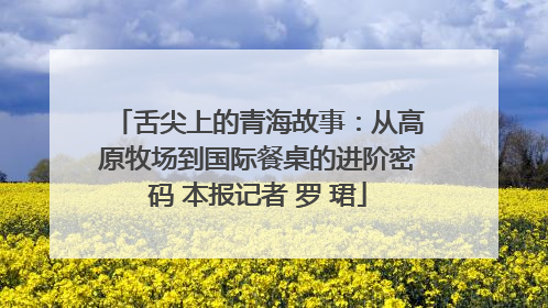 舌尖上的青海故事：从高原牧场到国际餐桌的进阶密码 本报记者 罗 珺