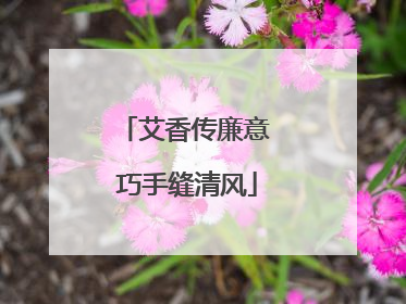 艾香传廉意 巧手缝清风
