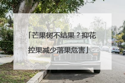 芒果树不结果？抑花控果减少落果危害