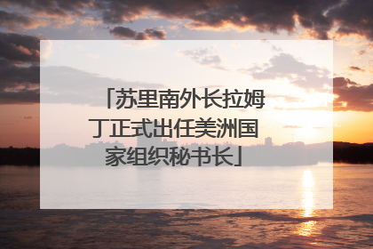 苏里南外长拉姆丁正式出任美洲国家组织秘书长