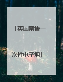 英国禁售一次性电子烟