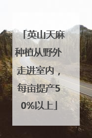 英山天麻种植从野外走进室内，每亩提产50%以上