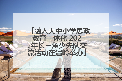 融入大中小学思政教育一体化 2025年长三角少先队交流活动在温岭举办