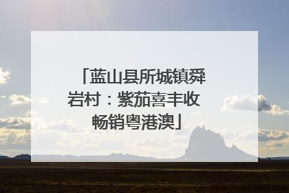 蓝山县所城镇舜岩村：紫茄喜丰收 畅销粤港澳