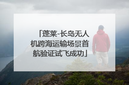 蓬莱-长岛无人机跨海运输场景首航验证试飞成功