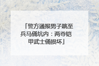 警方通报男子跳至兵马俑坑内：两尊铠甲武士俑损坏