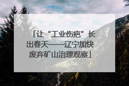 让“工业伤疤”长出春天——辽宁加快废弃矿山治理观察