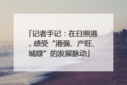 记者手记：在日照港，感受“港强、产旺、城绿”的发展脉动