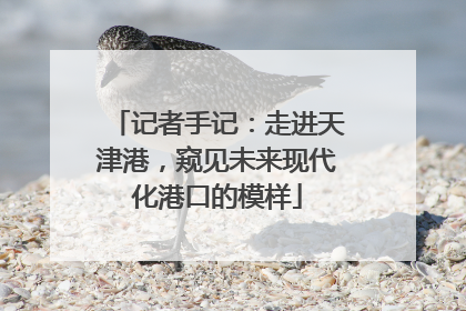记者手记：走进天津港，窥见未来现代化港口的模样