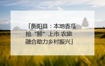 衡阳县：本地香瓜抢“鲜”上市 农旅融合助力乡村振兴