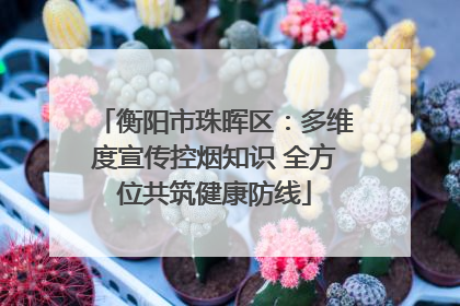 衡阳市珠晖区：多维度宣传控烟知识 全方位共筑健康防线