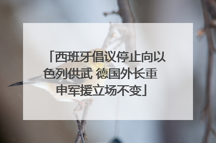 西班牙倡议停止向以色列供武 德国外长重申军援立场不变