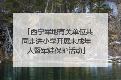 西宁军地有关单位共同走进小学开展未成年人暨军娃保护活动