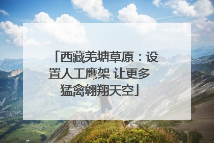 西藏羌塘草原：设置人工鹰架 让更多猛禽翱翔天空