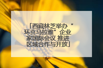 西藏林芝举办“环喜马拉雅”企业家国际会议 推进区域合作与开放