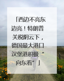 西边不亮东边亮！特朗普关税阴云下，德国最大港口汉堡港积极“向东看”