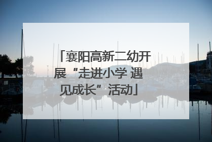 襄阳高新二幼开展“走进小学 遇见成长”活动