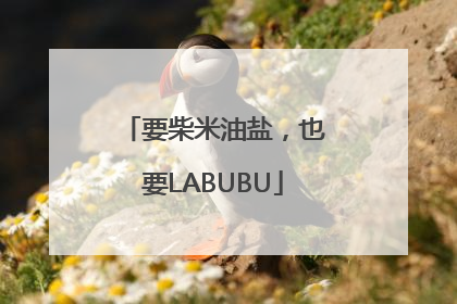 要柴米油盐，也要LABUBU