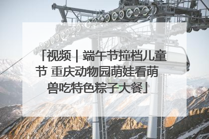 视频｜端午节撞档儿童节 重庆动物园萌娃看萌兽吃特色粽子大餐
