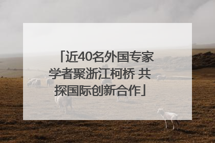近40名外国专家学者聚浙江柯桥 共探国际创新合作