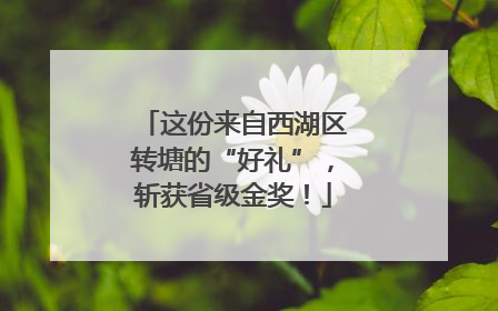 这份来自西湖区转塘的“好礼”，斩获省级金奖！
