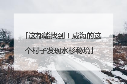 这都能找到！威海的这个村子发现水杉秘境