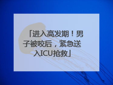 进入高发期！男子被咬后，紧急送入ICU抢救