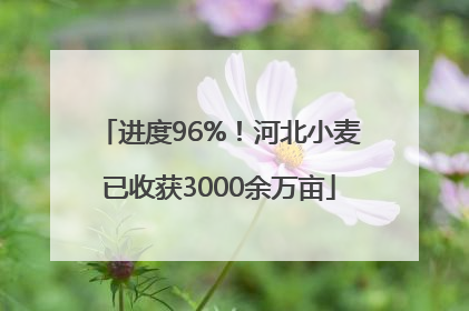 进度96%！河北小麦已收获3000余万亩