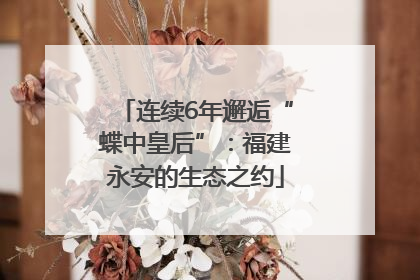 连续6年邂逅“蝶中皇后”：福建永安的生态之约