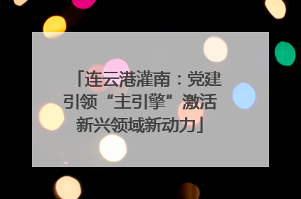 连云港灌南：党建引领“主引擎”激活新兴领域新动力